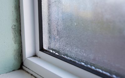 6 Signs of Mold Growth in Your Home