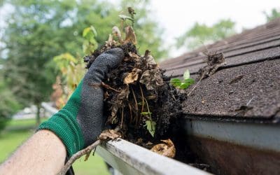 10 Home Maintenance Tasks for Spring: A Checklist for Homeowners